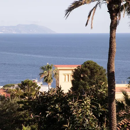 De Bonart Naples, Curio Collection By Hilton